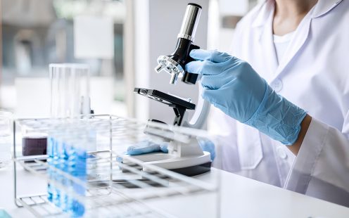 lab