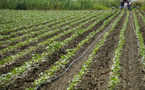 water irrigation System