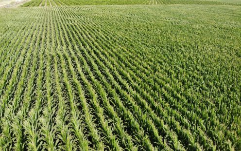 created by dji camera