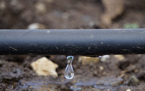 Drip Irrigation Systems on Field