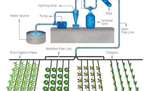 Reference Drip Irrigation System Elements