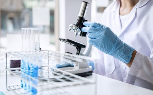 lab
