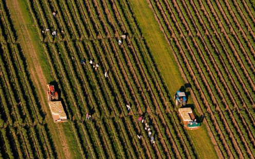 An aerial photo showing two tractors and a group of farmers working in a field | Pipelife