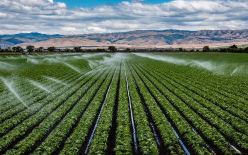 Irrigation_pages_Fertigation_Hero.jpg