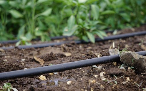 Drip Irrigation Systems on Field