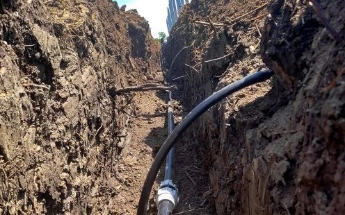 A close-up of a drip irrigation system recently laid in the ground | Pipelife