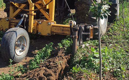 A yellow tractor installing a subsurface drip irrigation system in an orchard | Pipelife