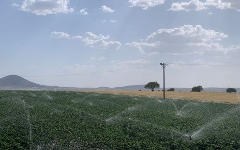 Sprinkler Irrigation on Field