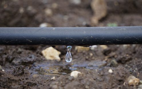 Drip Irrigation Systems on Field